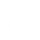 course-features