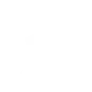 course-features